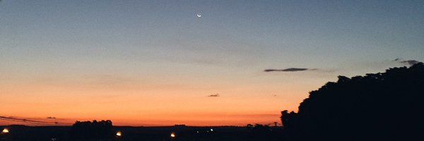 _fernandamiotto Profile Banner