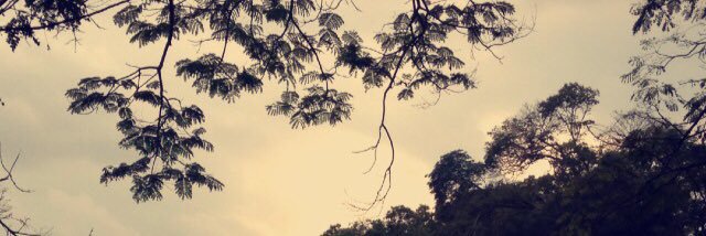 natashajade23's profile banner image