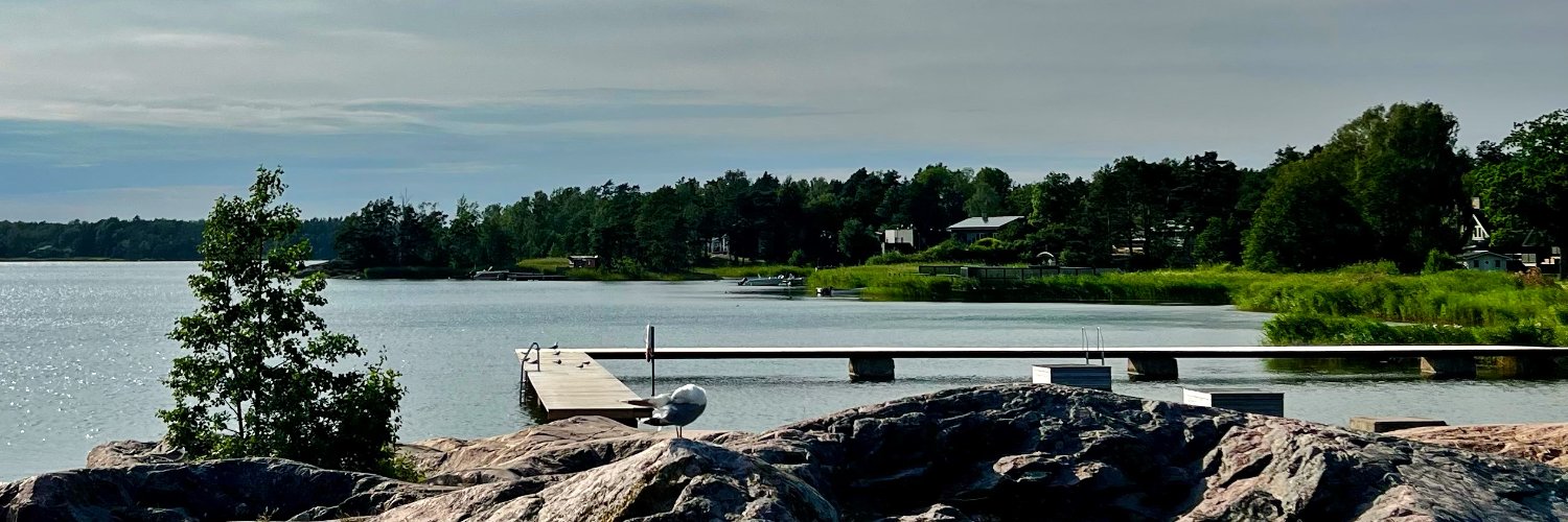 Jon Eriksson 🇸🇪 banner