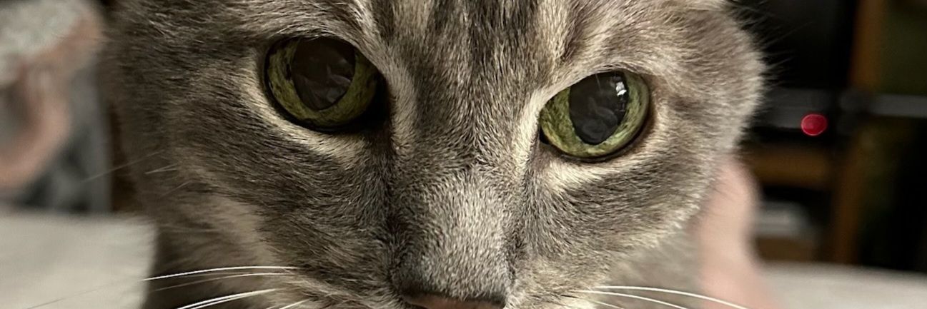 DebbyH_'s profile banner image