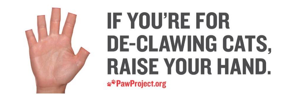 KeepClaws's profile banner image