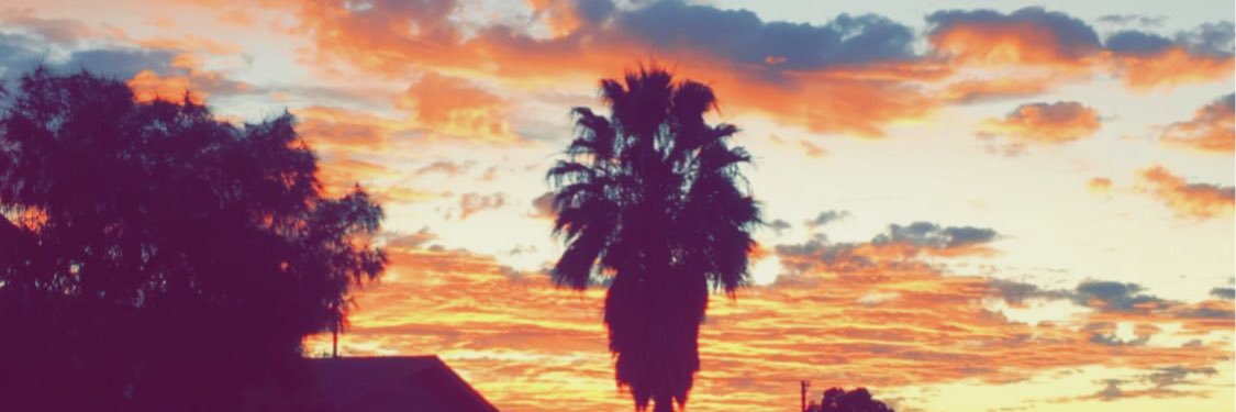 michael_chel's profile banner image
