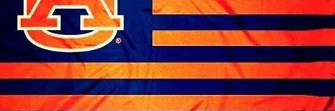 aubiegal65's profile banner image