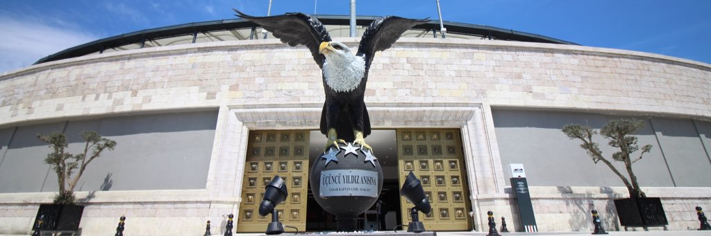 Melis Ermutlu banner