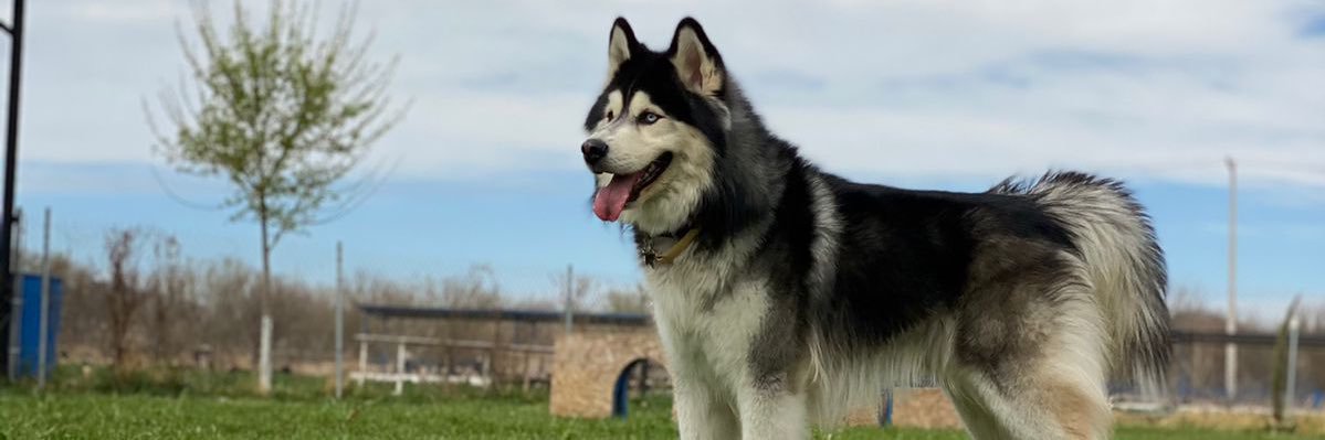 MarijoJV's profile banner image