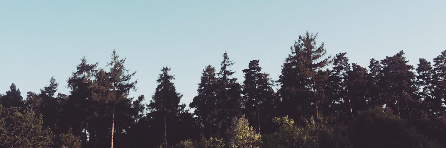 MegsHopkins's profile banner image