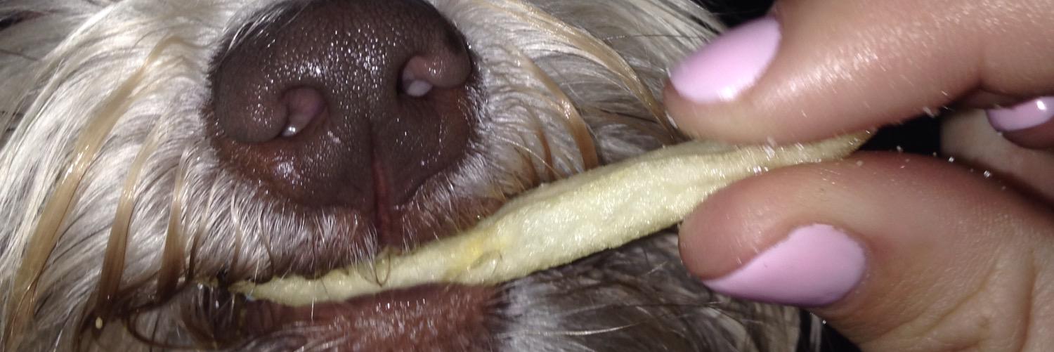 Mehhginayyyhern's profile banner image