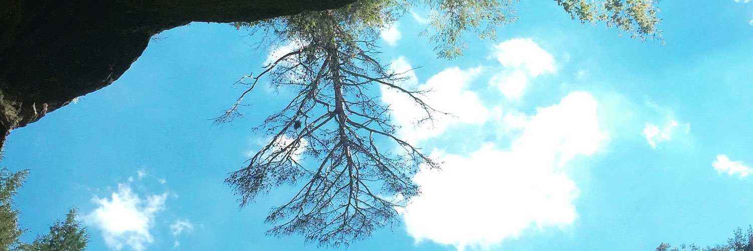 maddiedavis28's profile banner image