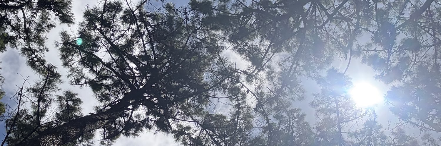 pouchbo's profile banner image