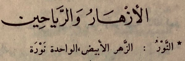 ialnjm Profile Banner