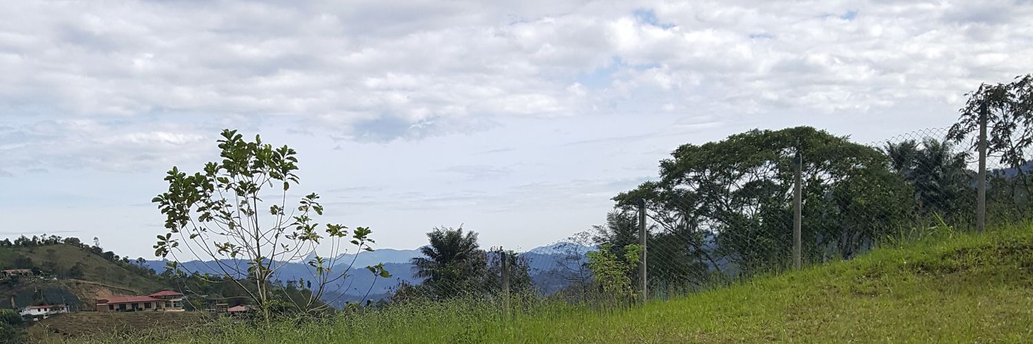 hhchacon's profile banner image