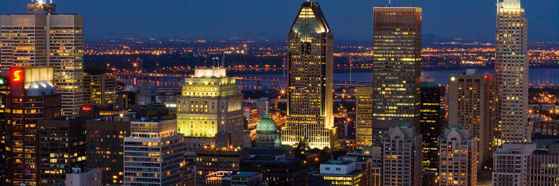 Progressive Monkey banner