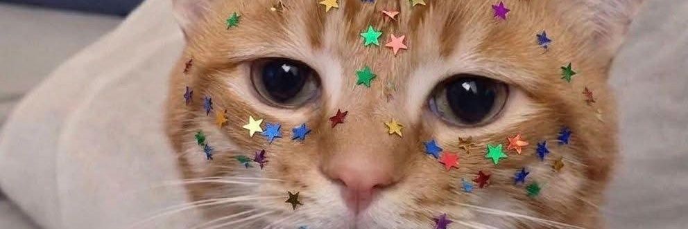 stargirlil's profile banner image
