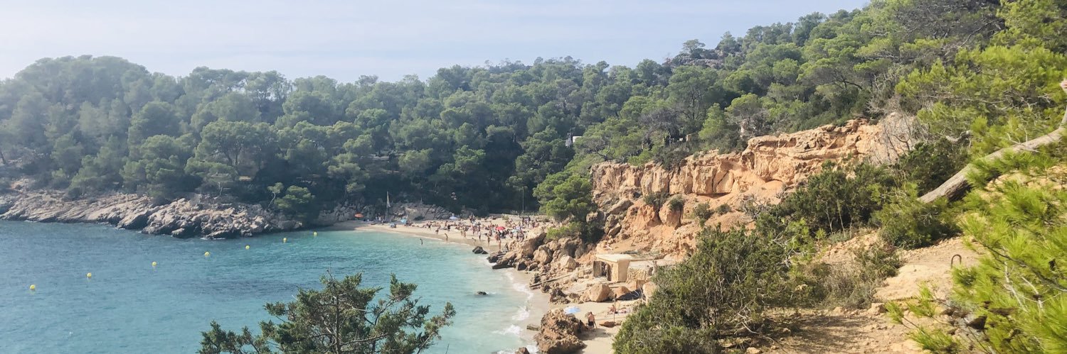 Chelsea Jenner banner