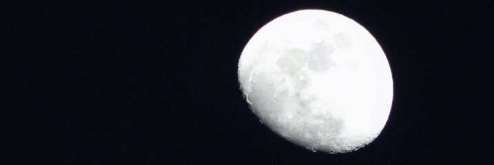 yeettaylor's profile banner image