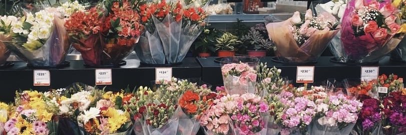 Gabriela Serafin🌸 banner
