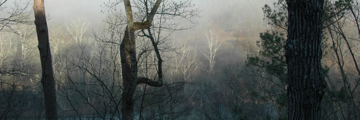 travlbuff's profile banner image