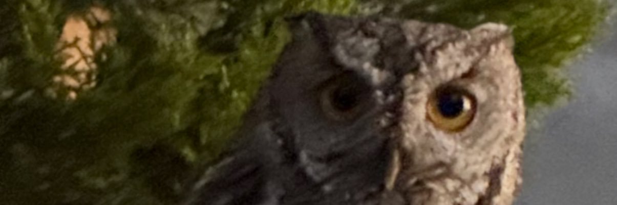Rob_Area51's profile banner image