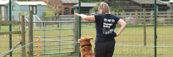 Angela Watson banner