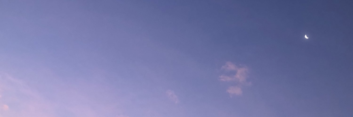 ysabola's profile banner image