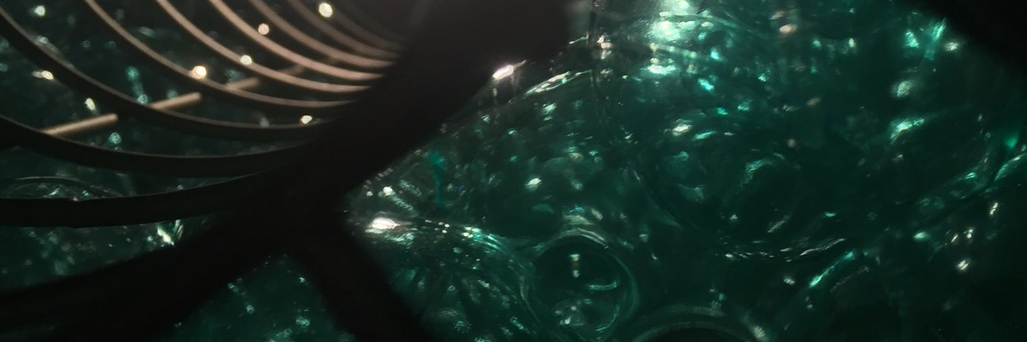 faceleigh's profile banner image