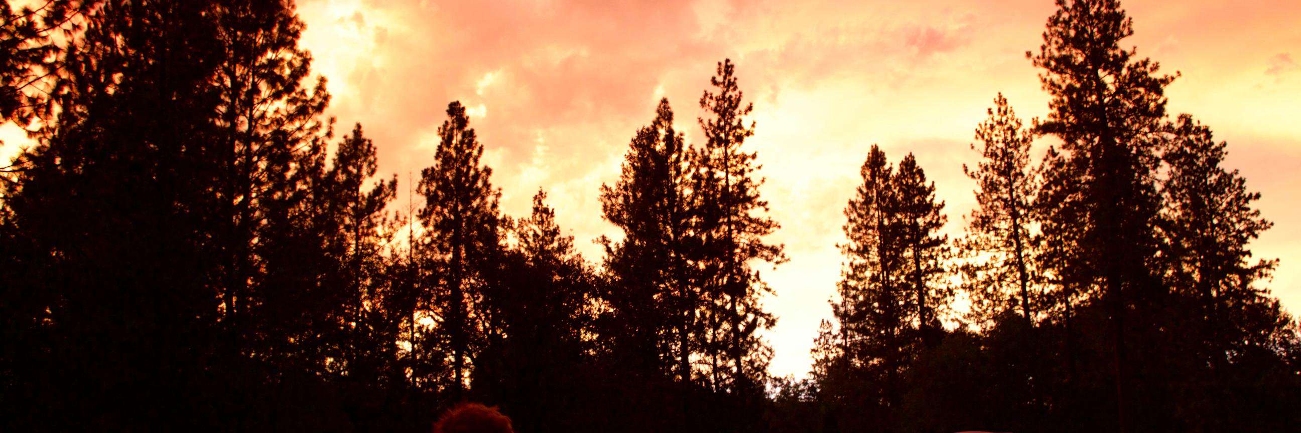 HSpreckley10's profile banner image