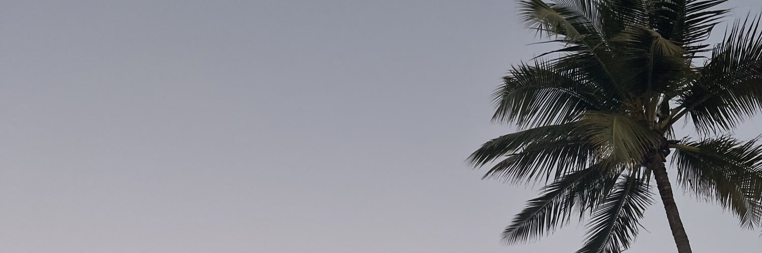 BlomEmily's profile banner image