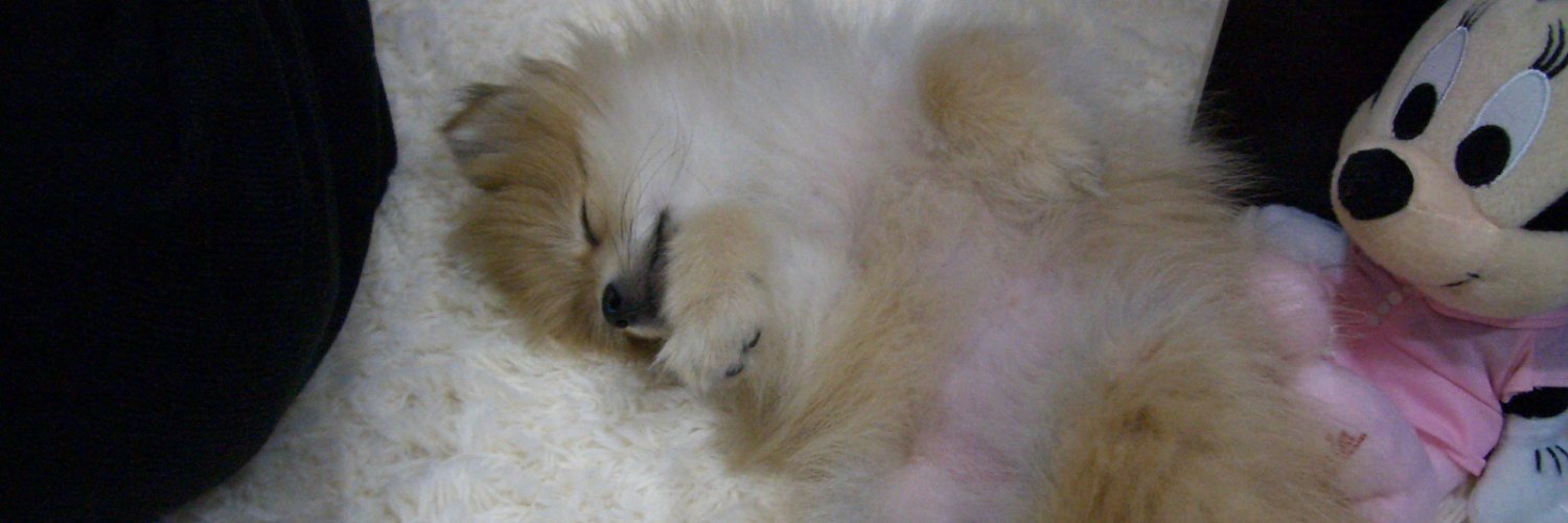 kt_pic's profile banner image