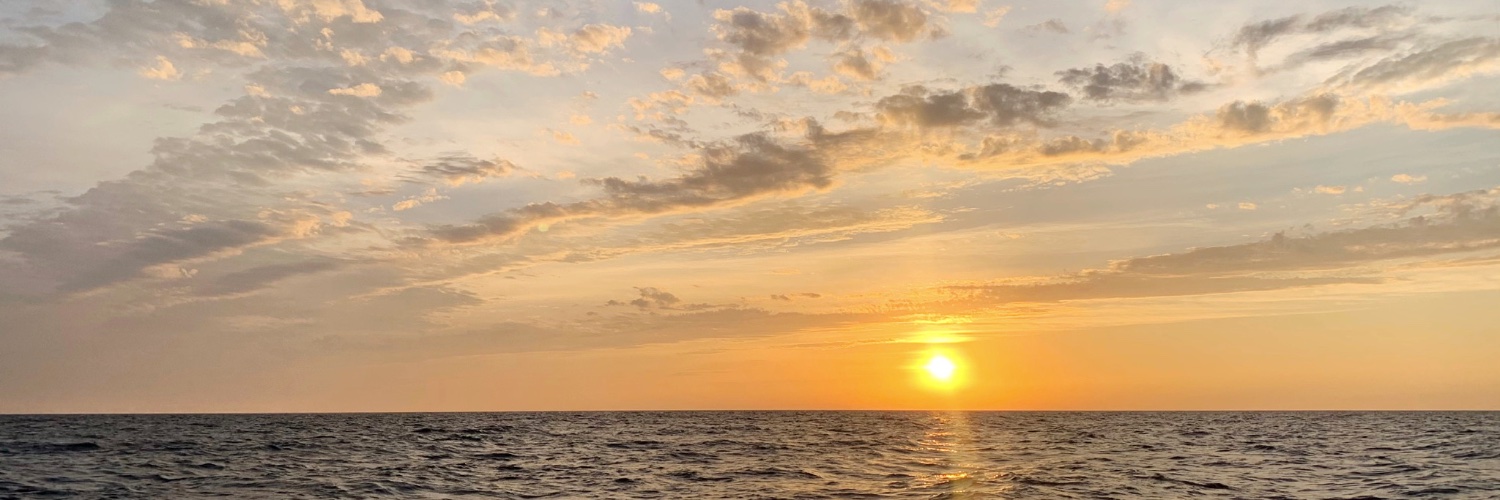 sammypeasee's profile banner image