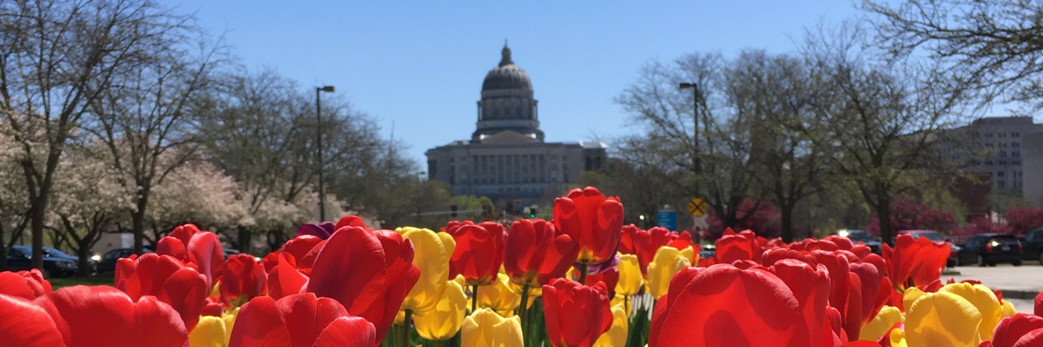 SRC_STL's profile banner image