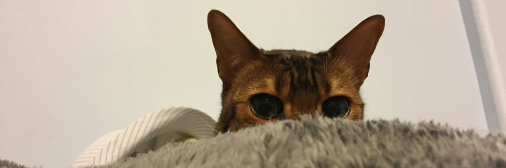 creelweb's profile banner image