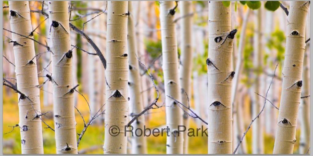PhotographyPark's profile banner image
