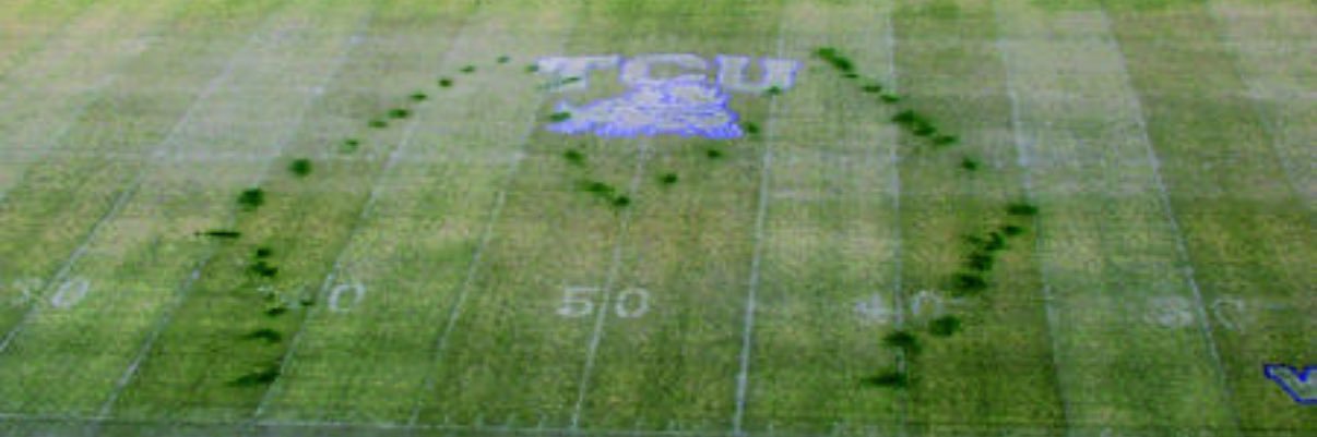 PONY UP GANG banner