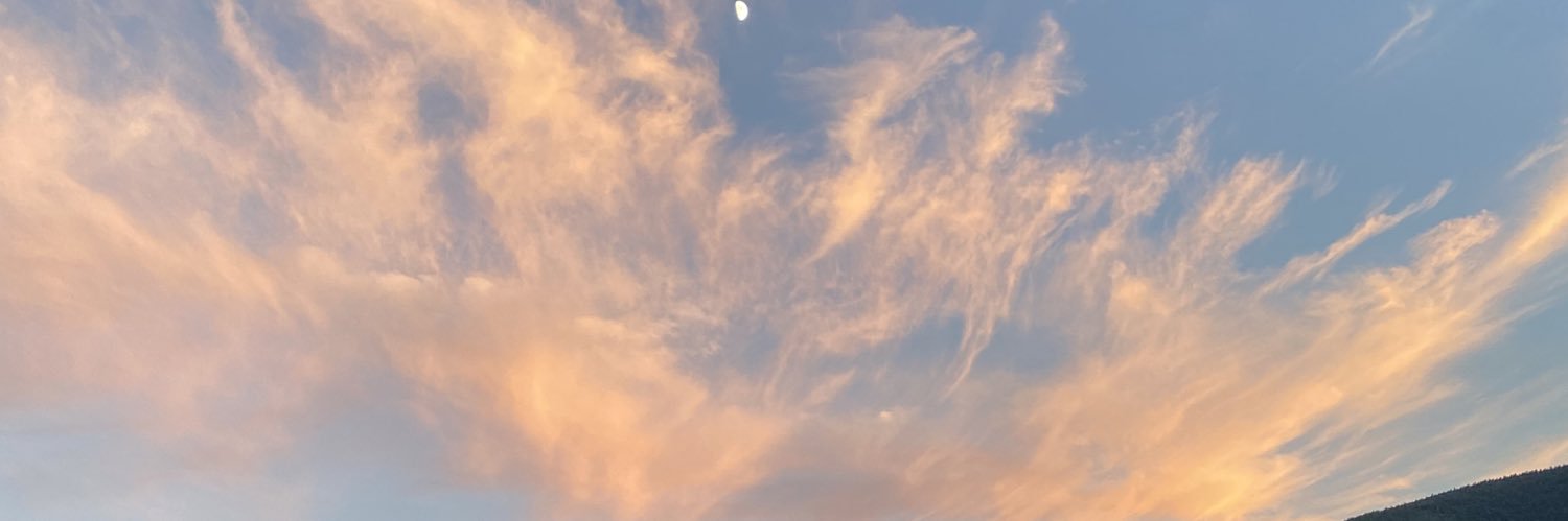 rososus's profile banner image
