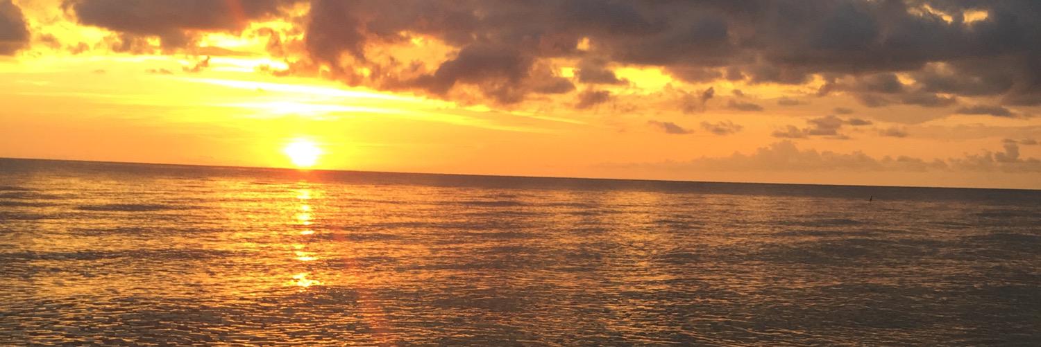 hankard's profile banner image