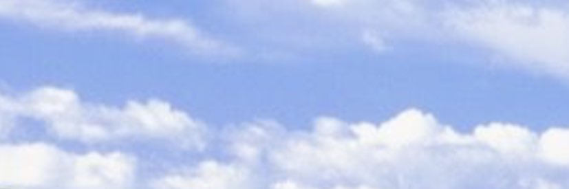 🍊PATTY🍊 banner