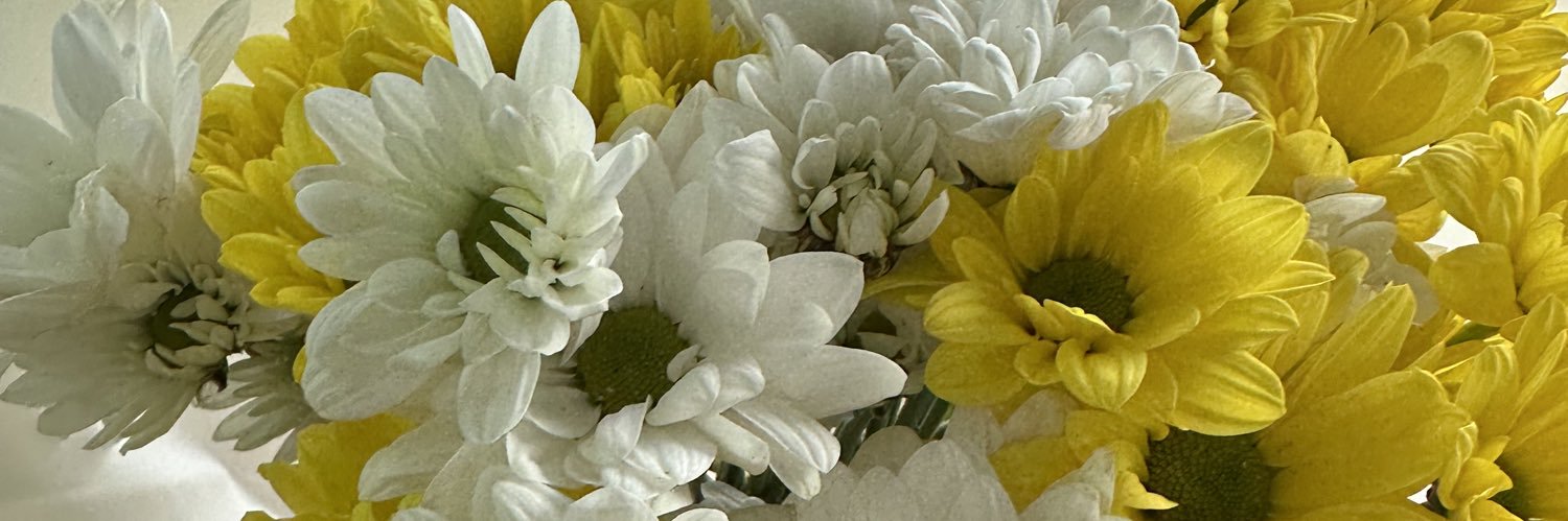 SelvyRenata's profile banner image
