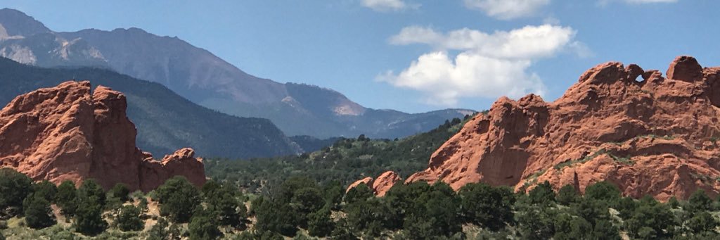 amynessdotcom's profile banner image
