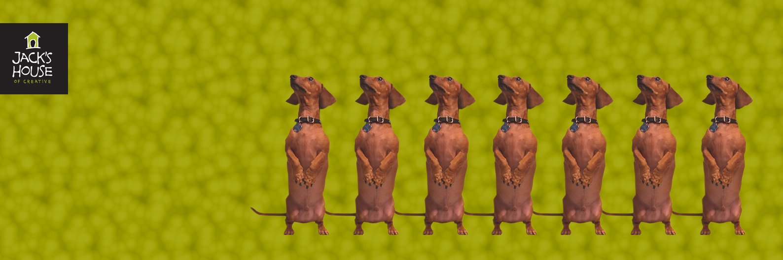 jackshoc's profile banner image