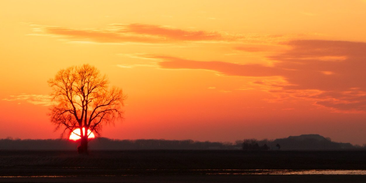 art_meyer's profile banner image