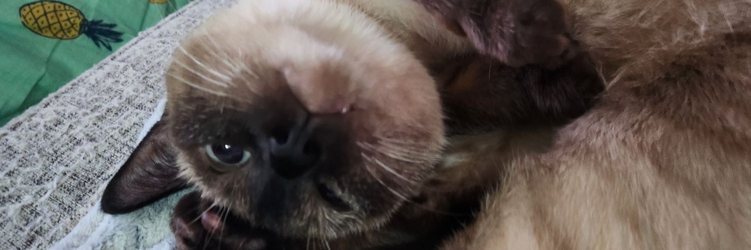 vividecal's profile banner image