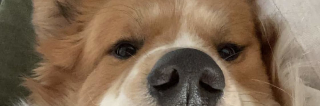 BrettErickson11's profile banner image