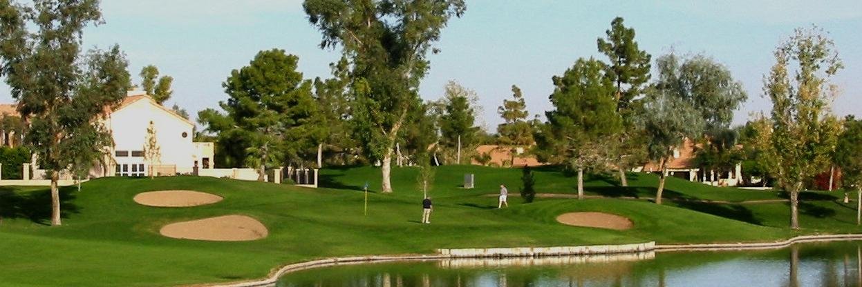 VIPGolfAcademy1's profile banner image