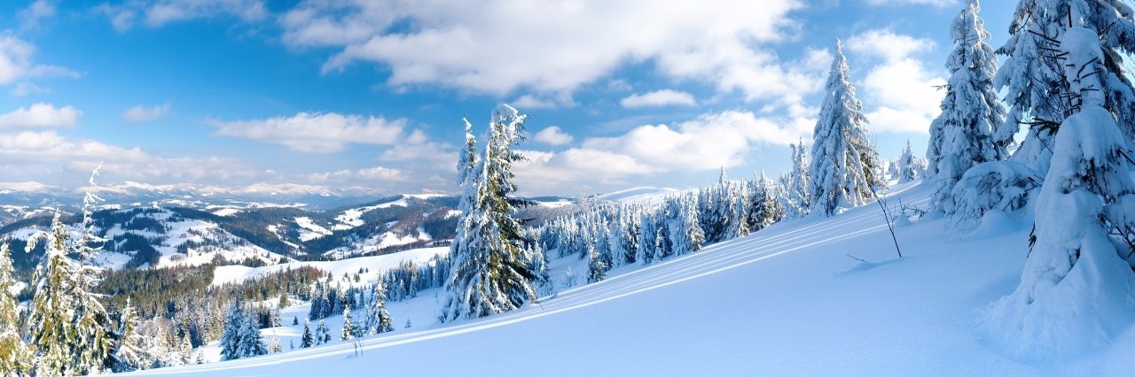 Wat_Is_A_Tweet's profile banner image