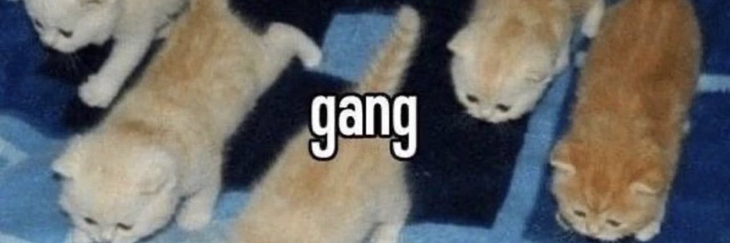 cunt3rella's profile banner image