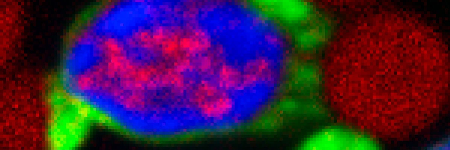 PSharma_PhD's profile banner image