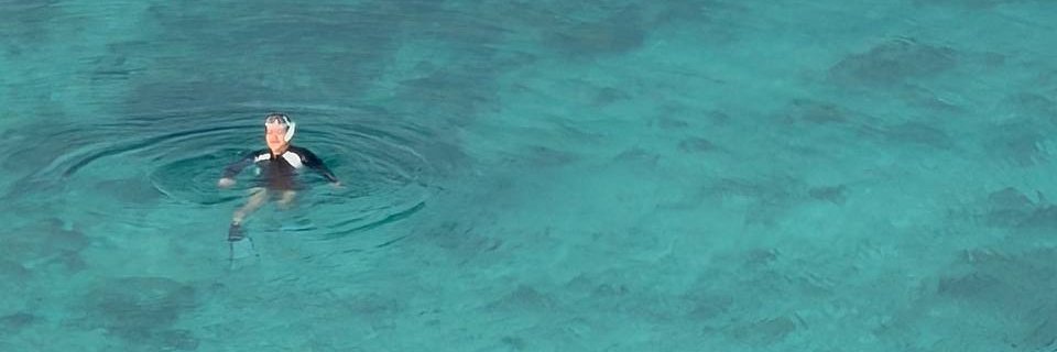 shielamarieca's profile banner image