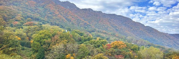 Gonist Profile Banner