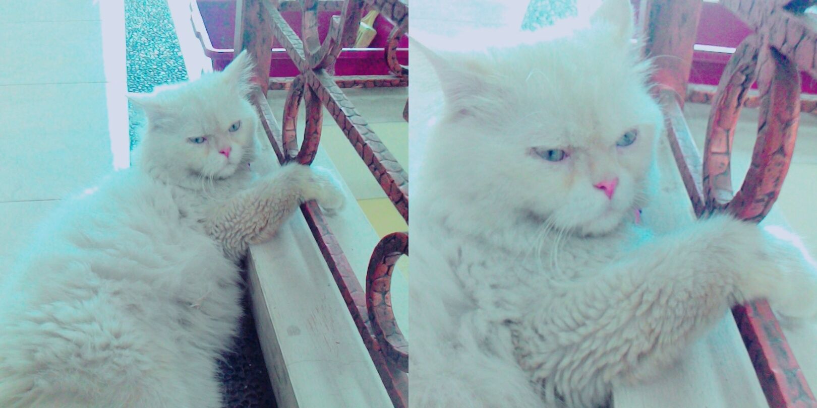 elloferdiansyah's profile banner image