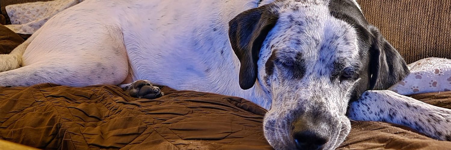 coryphillipsrx's profile banner image